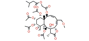 Dichotellide F